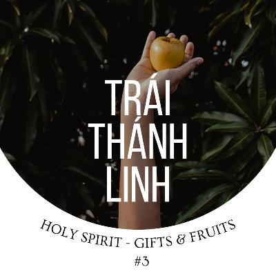 Bài 3: TRÁI THÁNH LINH - P. 3 | HOLY SPIRIT - GIFTS & FRUITS || MSB