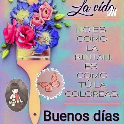 Como Empezar En El Gym Para Mejorará Nuestra Salud (Trailer)