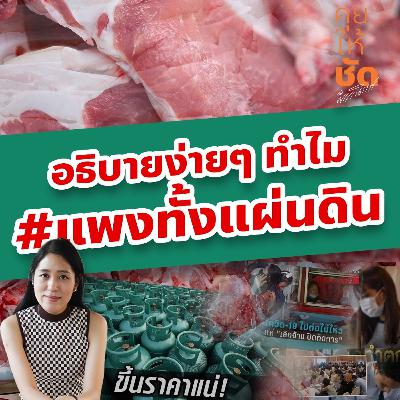 อธิบายง่ายๆ ทำไม #แพงทั้งแผ่นดิน และสิ่งที่น่ากลัวกว่านั้นคืออะไร คุยให้ชัดกับพรรณิการ์ EP31