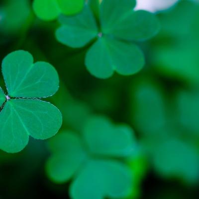 "It's not that difficult...put the shamrock on the poster"
