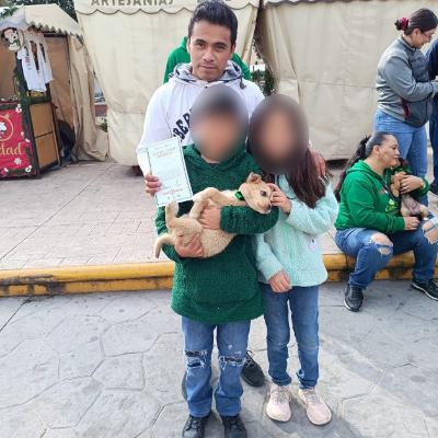 🟥 FAMILIAS ABREN SU HOGAR A 15 PERROS TRAS EXITOSA JORNADA DE ADOPCIÓN EN HUAMANTLA 🐶🏡❤️ 🟥 FAMILIAS ABREN SU HOGAR A 15 PERROS TRAS EXITOSA JORNADA DE ADOPCIÓN EN HUAMANTLA 🐶🏡❤️