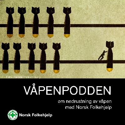 Hvordan går det med landmineforbudet?