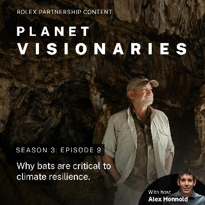 How protecting bats protects the planet (and us)