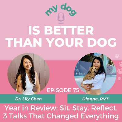 Year in Review: Sit. Stay. Reflect: 3 Talks That Changed Everything