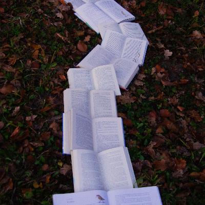 S3 Ep87: Meditação: Você Não Precisa Ser Monge Para Meditar S3 Ep87: Meditação: Você Não Precisa Ser Monge Para Meditar