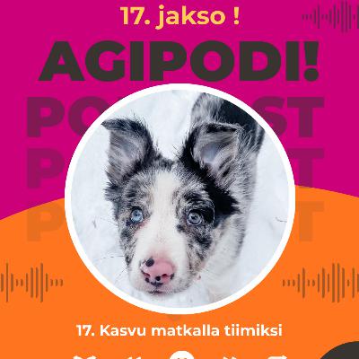 17. Kasvu matkalla tiimiksi