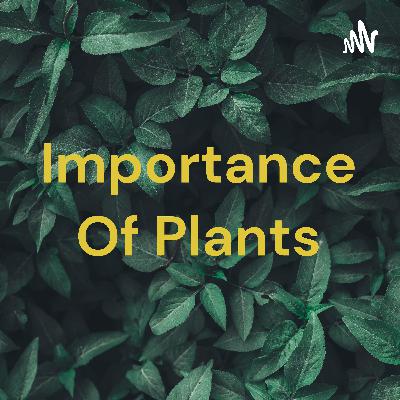 Importance of plants