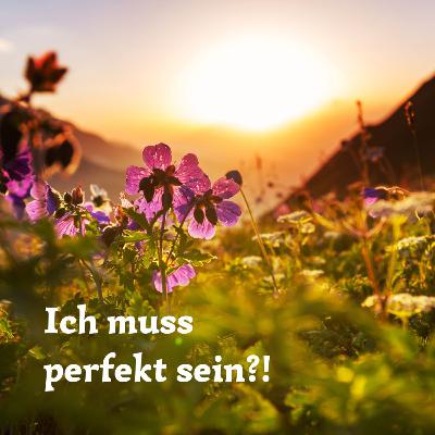 #72 Innere Antreiber: Ich muss perfekt sein (Teil 1)