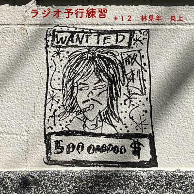 ✴︎１２　林見年　炎上