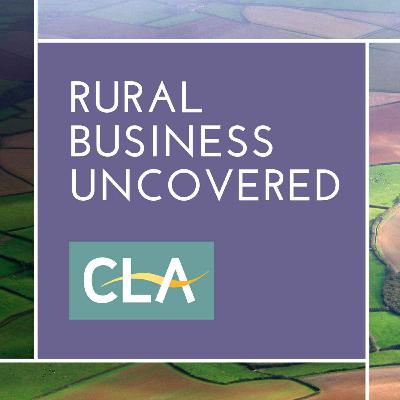 Rural Businesses: Having the right business structure from a tax perspective
