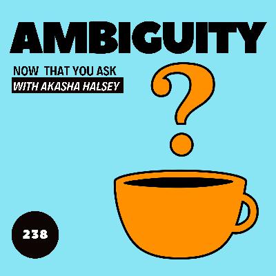 238. Ambiguity 238. Ambiguity