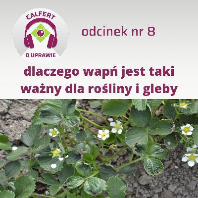 8. Dlaczego wapń jest tak ważny dla gleby i roślin?