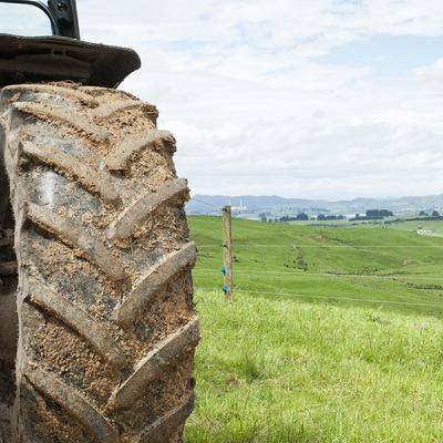 Christmas on the farm in Roscommon with Miriam Gunn Christmas on the farm in Roscommon with Miriam Gunn