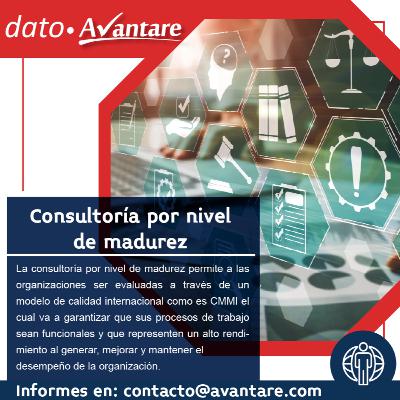 Consultoría por nivel de madurez