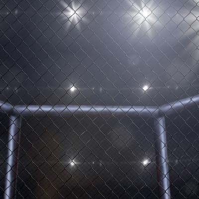 How much of a mental grind is it to be a successful professional MMA fighter? How much of a mental grind is it to be a successful professional MMA fighter?