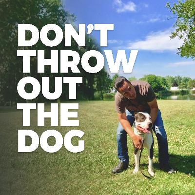 Episode 8: Why Kids and Dogs Can Be A Bad Combination