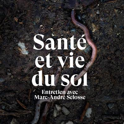 Le sol est notre patrimoine commun - Entretien avec Marc-André Selosse