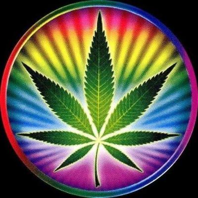 Legalización de la Marihuana