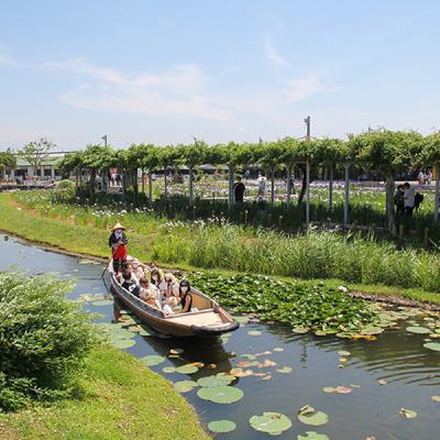 [VOYAGE #26] Voyager au Japon en juin