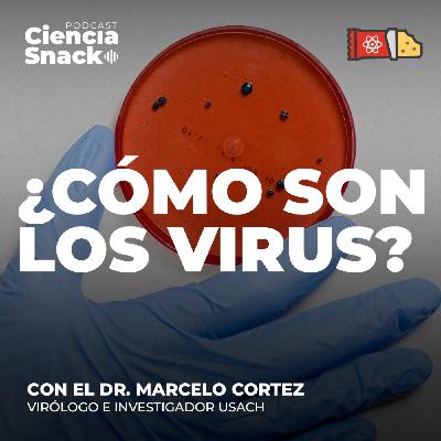 Ciencia Snack | ¿Cómo son los virus?