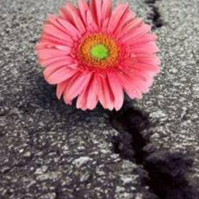 Rinascita_ poesia inedita di Cecilia
