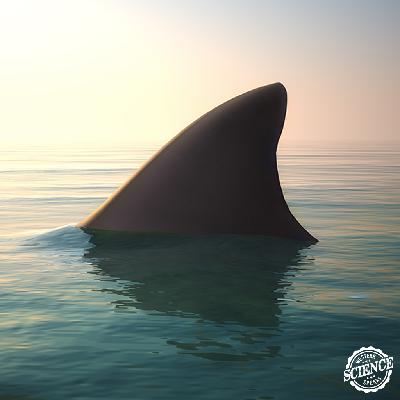 WSS S5E7: Sharks Get Lonely Too