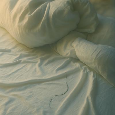 En anden kvindes hår i sengen – et hemmeligt liv? En anden kvindes hår i sengen – et hemmeligt liv?