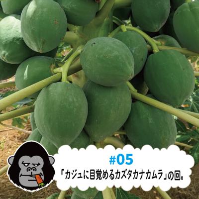 S4#05「カジュに目覚めるカズタカナカムラ」