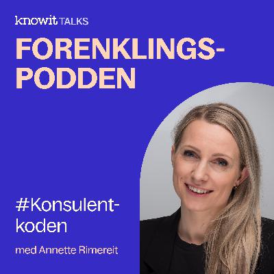 Annette Rimereit - om #konsulentkoden