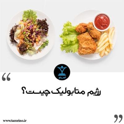 رژیم متابولیک چیست؟ (هوش مصنوعی) رژیم متابولیک چیست؟ (هوش مصنوعی)