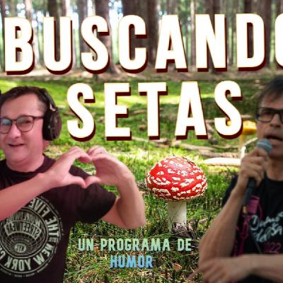 Buscando Setas 28 5T Buscando Setas 28 5T