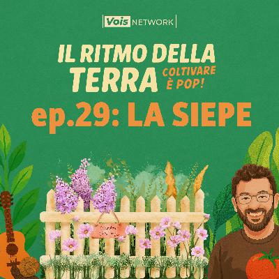 Ep 29 - La siepe