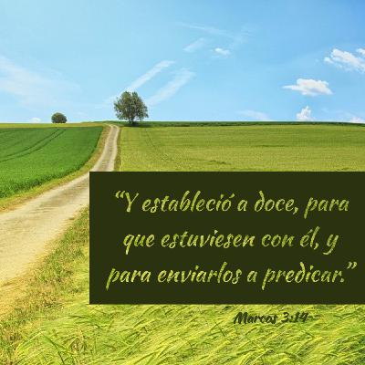 Evangelio de Marcos (Episodio 15) - Motivados por la comprensión [Marcos 3:13-19]