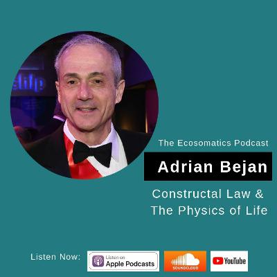 Constructal Law & The Physics of Life with Professor Adrian Bejan