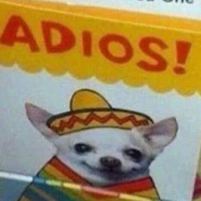 explicando os hiatos desse podcast(esse episódio vai se auto destruir)