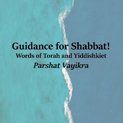 Guidance for Shabbat! Words of Torah and Yiddishkiet