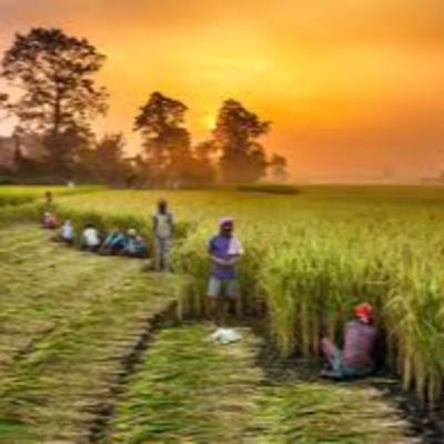 Farm Bills - What is the controversy about?