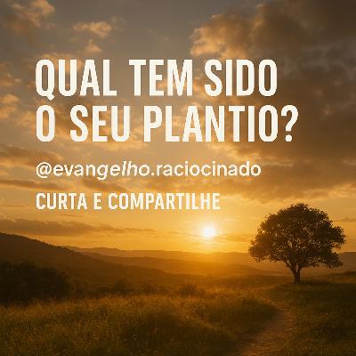 Qual tem sido o seu plantio?