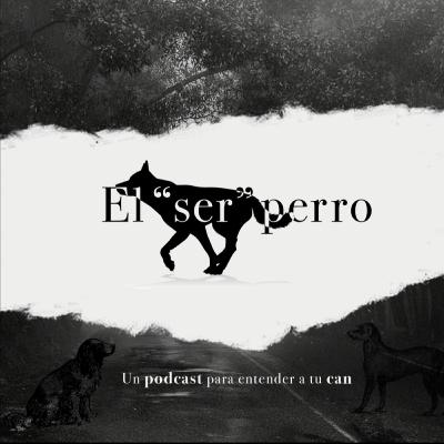 Cachorros vs Adultos caninos