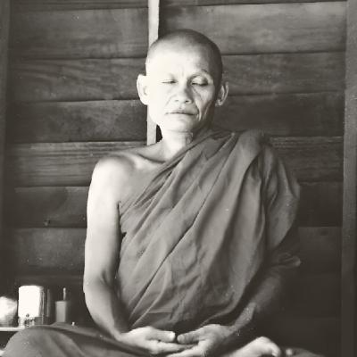 La Paz Inquebrantable: El Poder del Samādhi - Ajahn Chah | Budismo Theravada La Paz Inquebrantable: El Poder del Samādhi - Ajahn Chah | Budismo Theravada