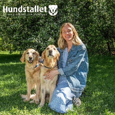 Stress, relation och välfärd