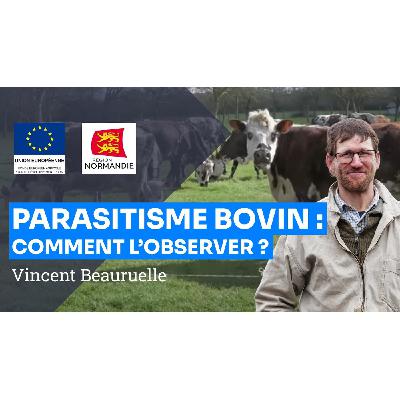 Gestion du parasitisme bovin : méthode d’observation, préventif et curatif, V. Bauruelle Gestion du parasitisme bovin : méthode d’observation, préventif et curatif, V. Bauruelle