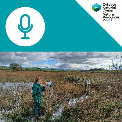 Sticky Sculptures: With Manon Awst and the National Peatland Action Programme