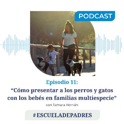 #EscuelaDePadres || 'Cómo presentar a los perros y gatos con los bebés en familias multiespecie' con Tamara Hernán #EscuelaDePadres || 'Cómo presentar a los perros y gatos con los bebés en familias multiespecie' con Tamara Hernán