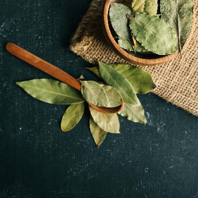 Evan Kleiman on the meme’d, maligned, and misunderstood bay leaf Evan Kleiman on the meme’d, maligned, and misunderstood bay leaf