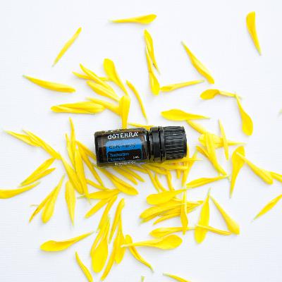 Tanaceto Blu Olio Essenziale dōTERRA