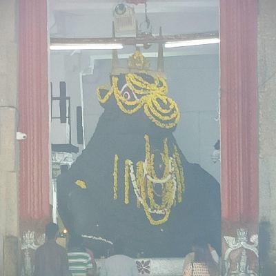 ದನಿಪಯಣ : ಬಸವನಗುಡಿ ದರ್ಶನ