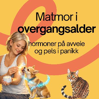 #13. Matmor er i overgangsalder – hormoner på avveie og pels i panikk.