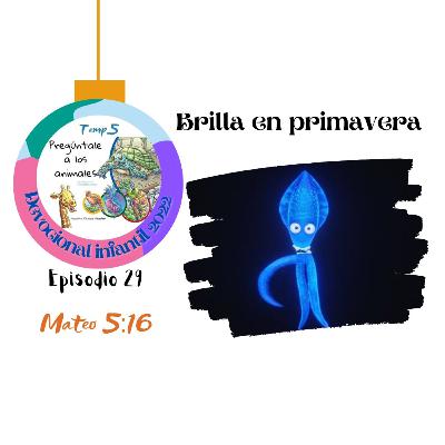 Episodio 29: Brilla en primavera
