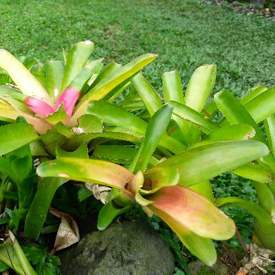 Rizki dan Menjauhi yang Haram Rizki dan Menjauhi yang Haram